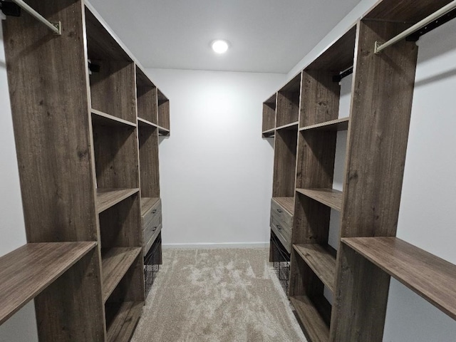 spacious closet with carpet flooring