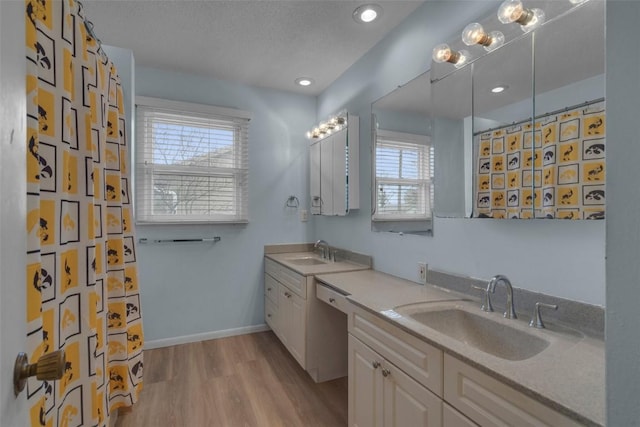 bathroom with double vanity, wood finished floors, baseboards, and a sink