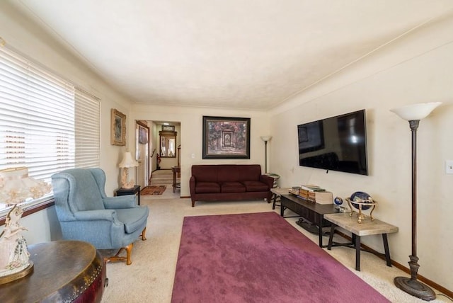 living area with baseboards and carpet floors