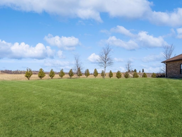 view of yard with a rural view