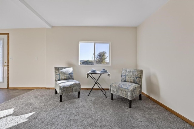 sitting room with baseboards and carpet
