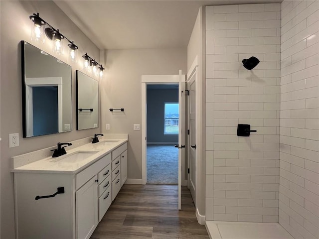 bathroom with double vanity, wood finished floors, baseboards, and a sink