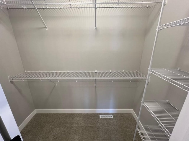 spacious closet featuring visible vents and carpet floors