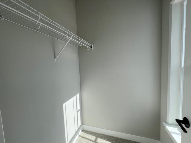walk in closet featuring carpet flooring
