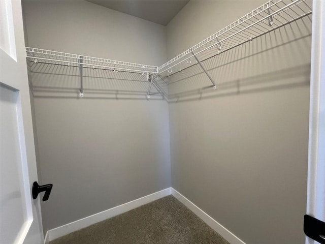 spacious closet featuring dark carpet