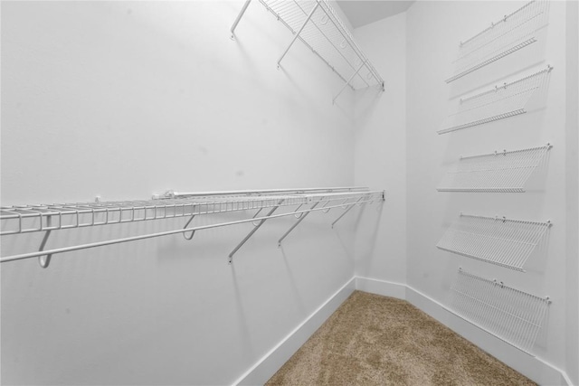 1311 E Gable Way, Tiffin, IA 52317 - photo 30