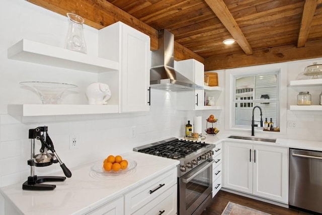 kitchen featuring a sink, exhaust hood, appliances with stainless steel finishes, and open shelves