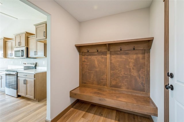 7102 Colpepper Dr SW, Cedar Rapids, IA 52404 - mudroom featuring light wood-type flooring, lofted ceiling, and baseboards