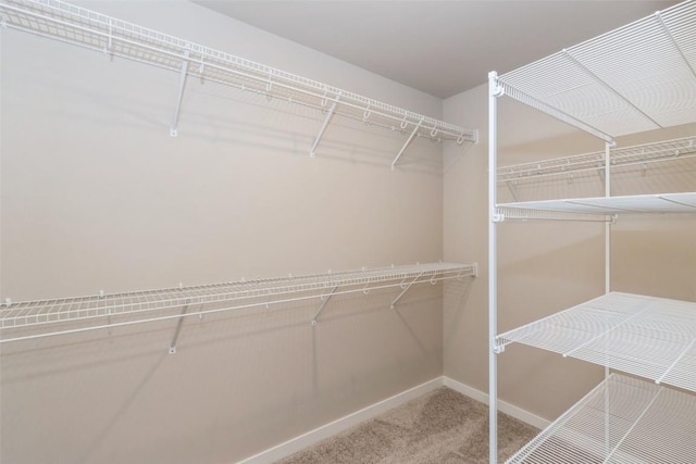 7014 C St SW, Cedar Rapids, IA 52404 - spacious closet featuring carpet floors