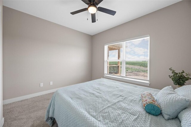 260 Howard Ave NW, Swisher, IA 52338 - photo 23