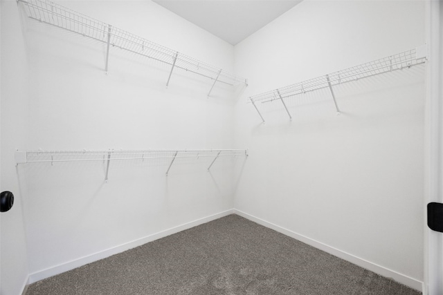 1442 Cardinal Dr, Fairfax, IA 52228 - spacious closet with dark carpet