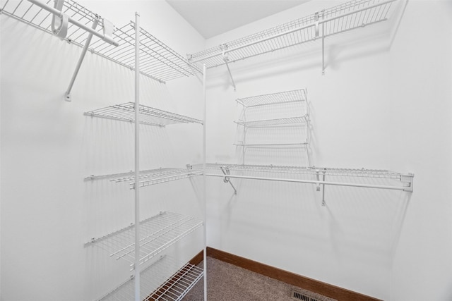 345 Shannon Dr, Robins, IA 52328 - walk in closet with carpet and visible vents