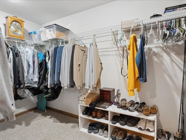 3752 Lacina Dr SW, Iowa City, IA 52240 - walk in closet with carpet floors