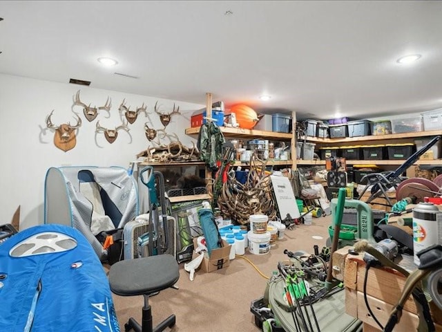3752 Lacina Dr SW, Iowa City, IA 52240 - view of storage