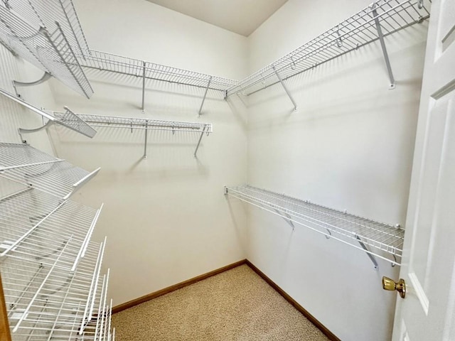 spacious closet featuring carpet floors