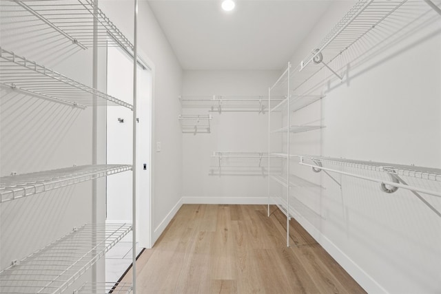 4018 Peridot Dr, Marion, IA 52302 - walk in closet with light wood-type flooring