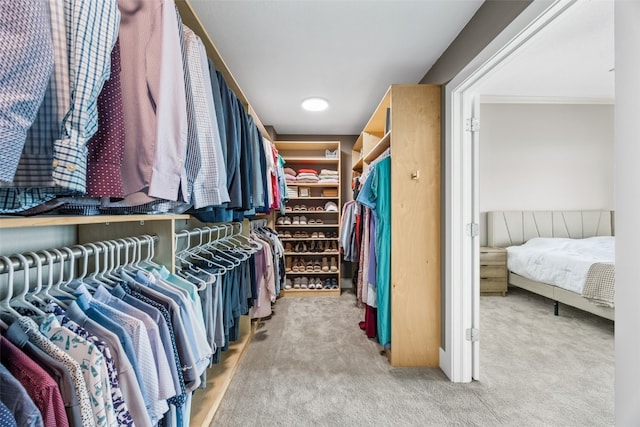 walk in closet featuring carpet flooring