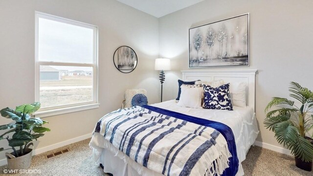 3398 Dreusicke Dr, Coralville, IA 52241 - photo 15