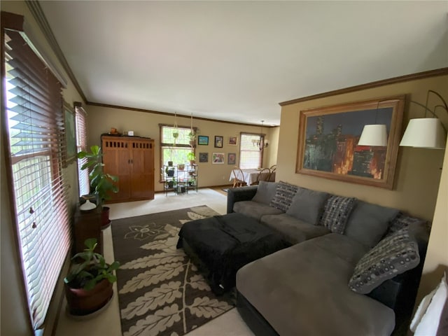 living room featuring crown molding and carpet floors