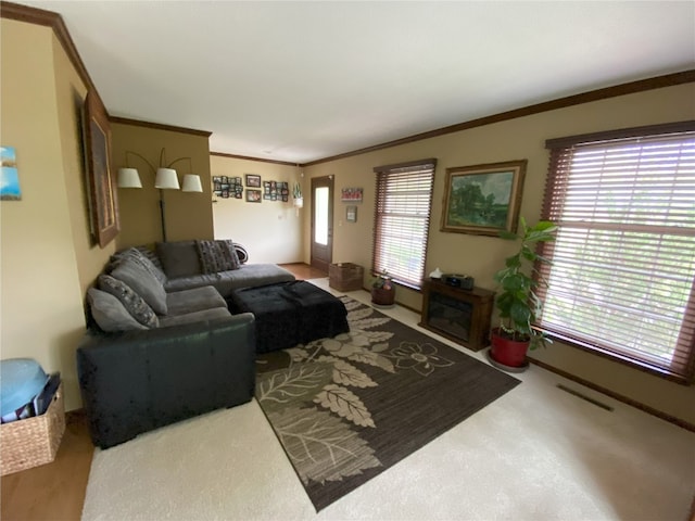 living area with crown molding and carpet floors