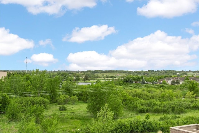 2873 Spring Rose Cir Unit 206, Coralville, IA 52241 - view of local wilderness