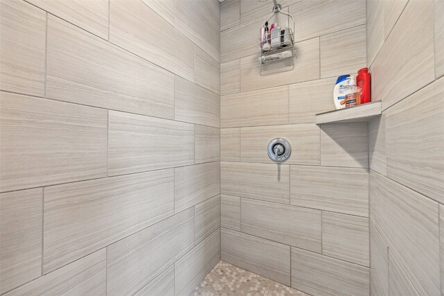 919 Camp Cardinal Rd, Iowa City, IA 52246 - bathroom featuring a tile shower