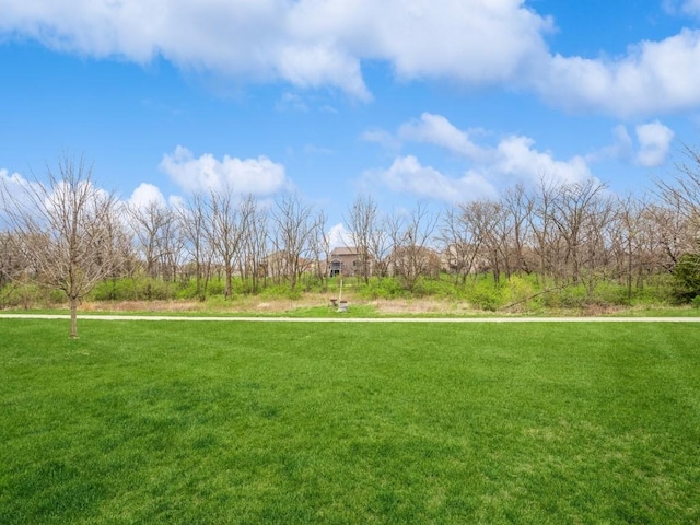 1231 Nicholas Ln, North Liberty, IA 52317 - photo 22