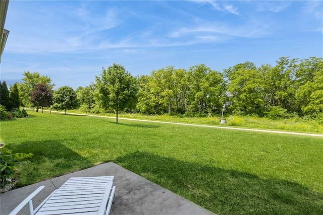 1231 Nicholas Ln, North Liberty, IA 52317 - photo 21