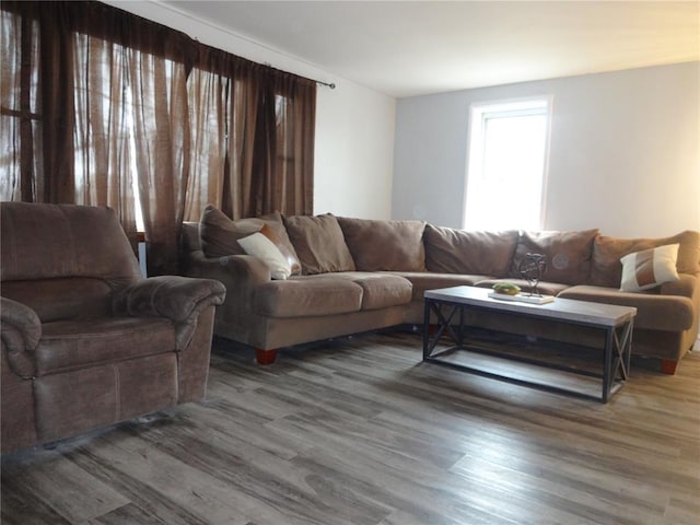 living room featuring wood finished floors