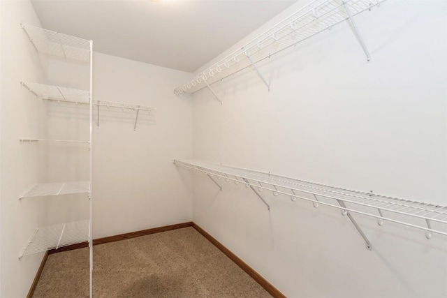 walk in closet with light colored carpet
