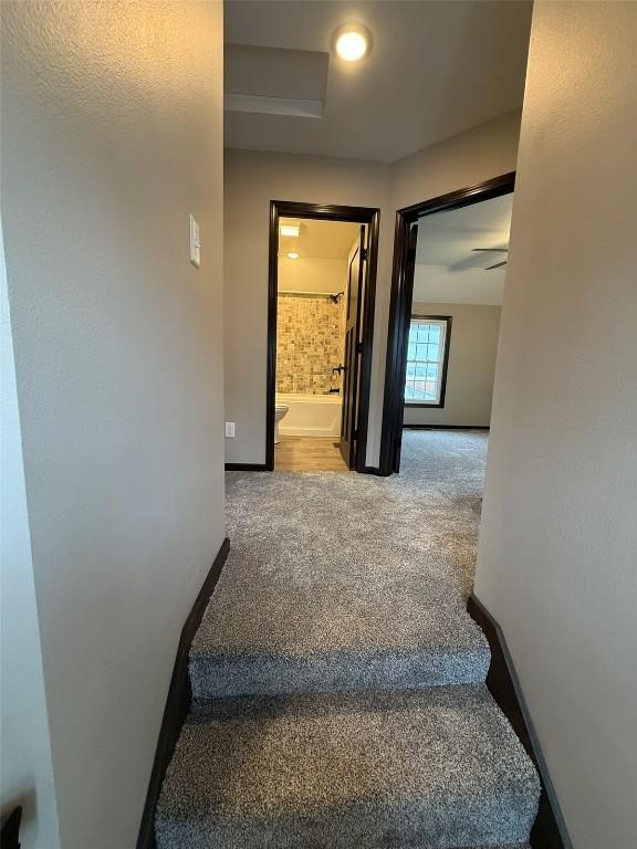 305 E 5th St, Vinton, IA 52349 - stairs with carpet and baseboards