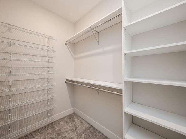 5497 Silver Ridge Rd, Marion, IA 52302 - walk in closet featuring carpet floors