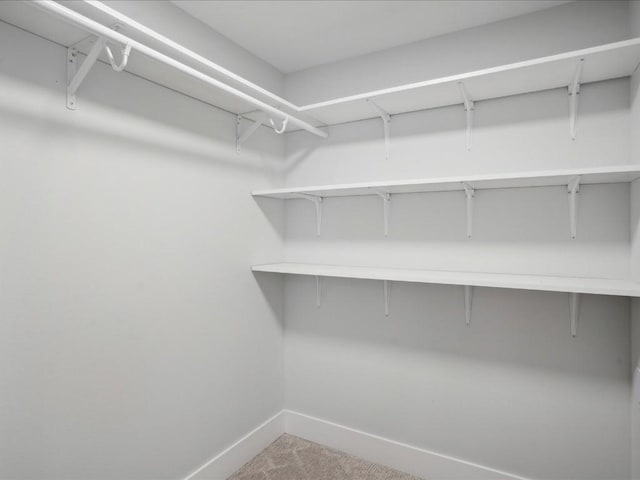 spacious closet featuring carpet floors