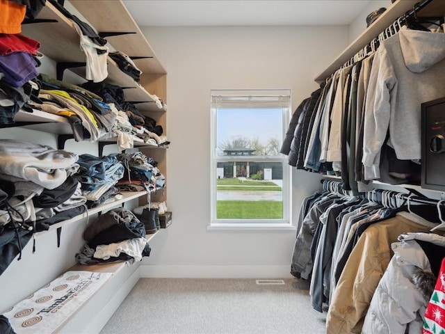 spacious closet featuring carpet floors