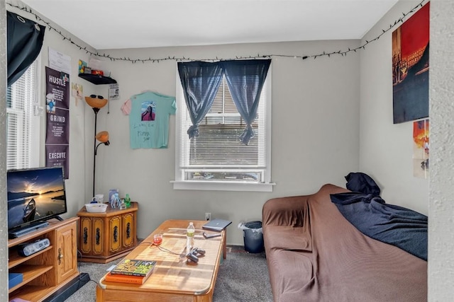 view of carpeted living area