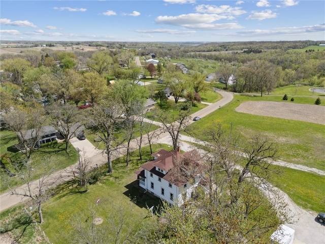 drone / aerial view