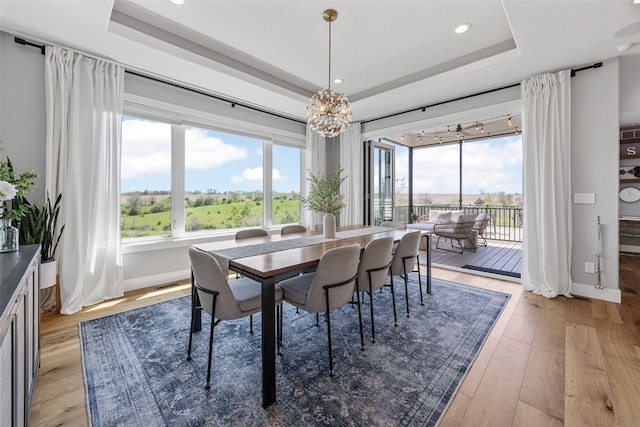 dining space featuring baseboards, a wealth of natural light, and a raised ceiling