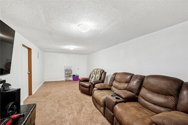 carpeted living area featuring a textured ceiling