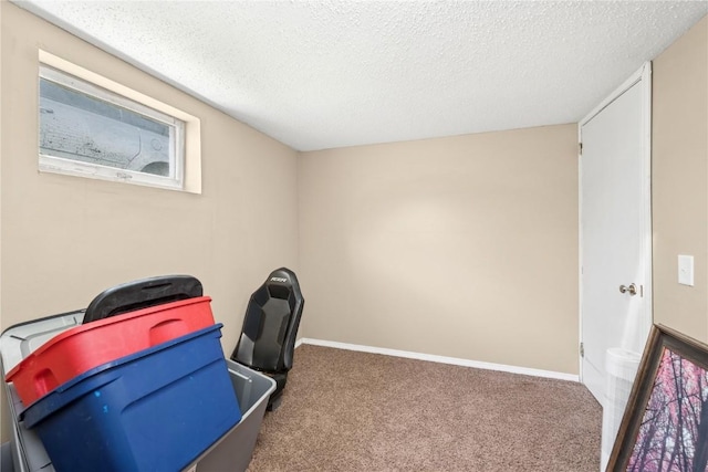 home office with a textured ceiling, baseboards, and carpet