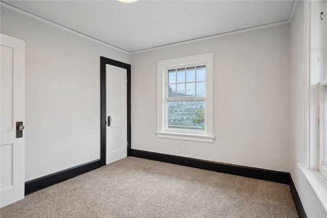 empty room with crown molding, baseboards, and carpet flooring