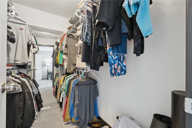 walk in closet featuring light colored carpet