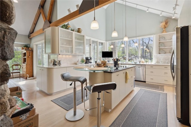 kitchen with light wood finished floors, rail lighting, stainless steel appliances, decorative backsplash, and glass insert cabinets