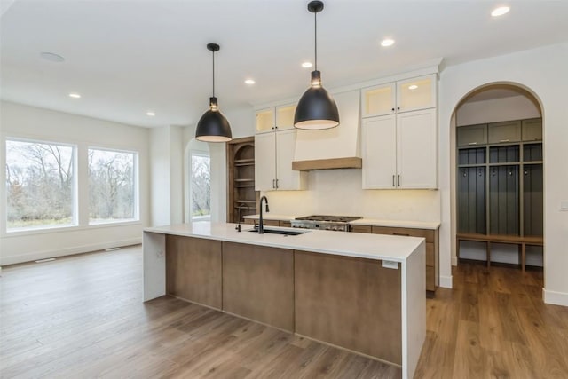 938 Heron Pl, Iowa City, IA 52245 - kitchen with a sink, light wood-style floors, light countertops, arched walkways, and a kitchen island with sink