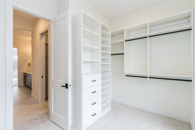 938 Heron Pl, Iowa City, IA 52245 - view of spacious closet