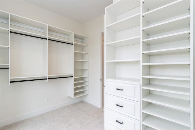 938 Heron Pl, Iowa City, IA 52245 - walk in closet with light carpet