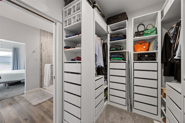 walk in closet with wood finished floors