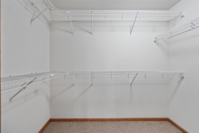 walk in closet featuring light carpet