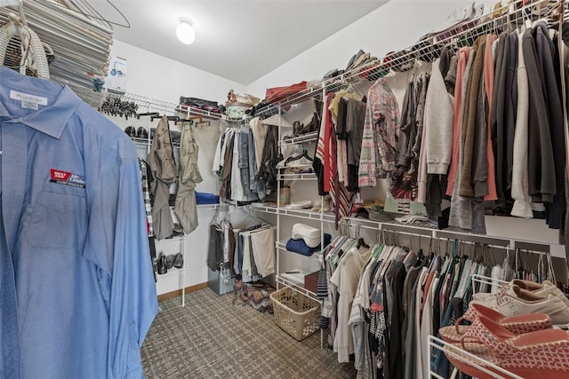 view of spacious closet