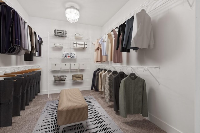 spacious closet featuring carpet floors