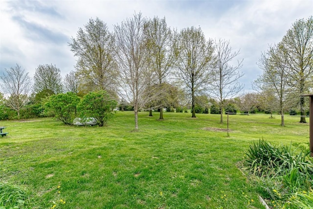 view of yard